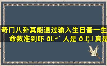 奇门八卦真能通过输入生日查一生命数准到吓 🪴 人是 🦁 真是假